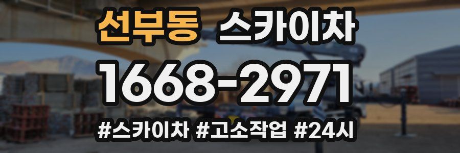 선부동 스카이차