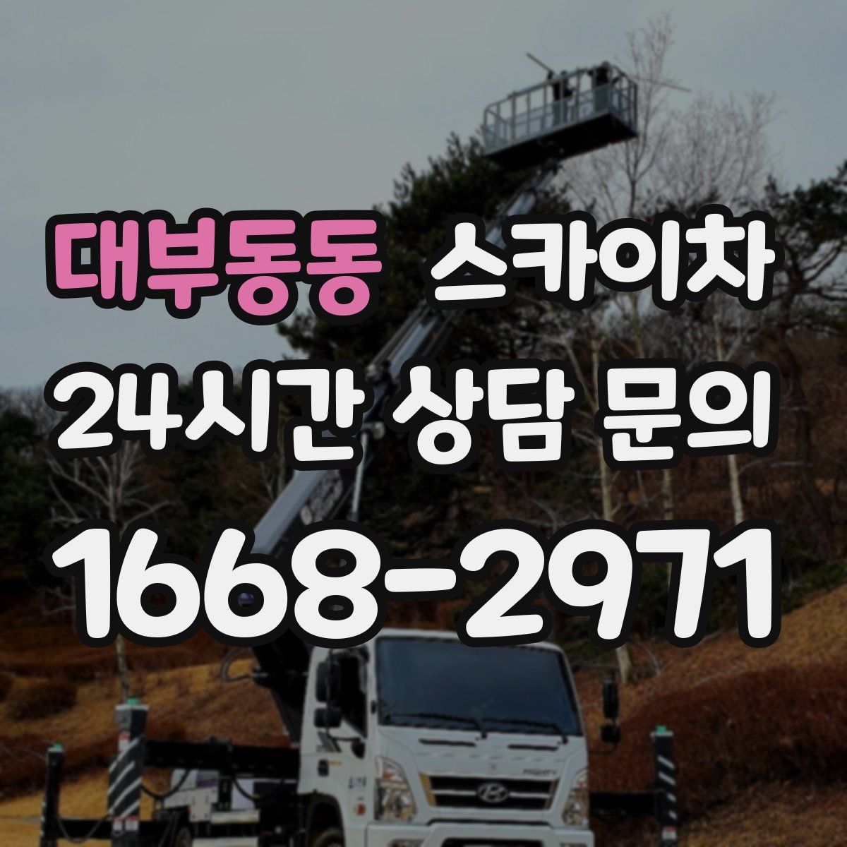대부동동 스카이차