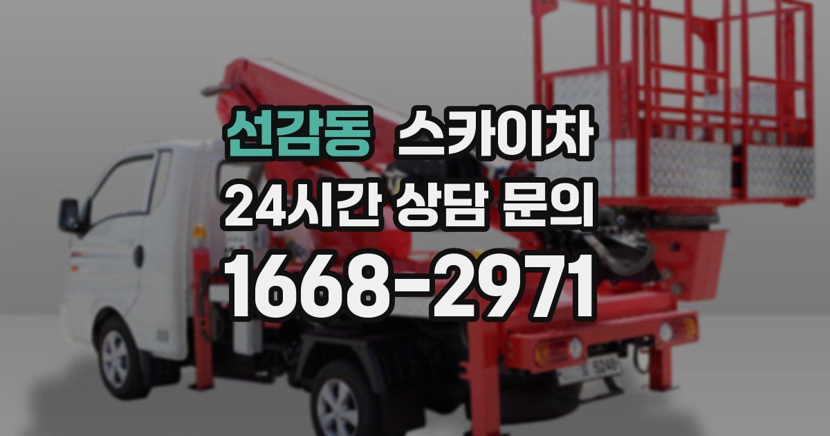 선감동 스카이차