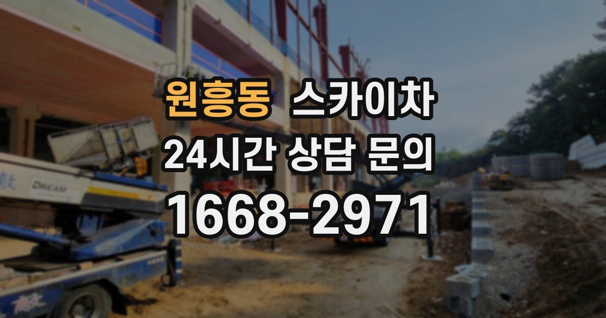 원흥동 스카이차