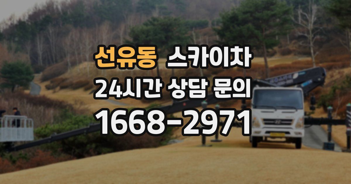선유동 스카이차