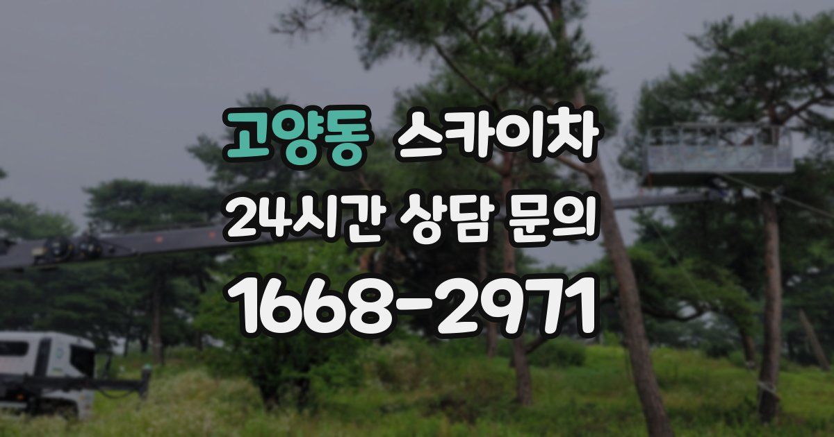 고양동 스카이차