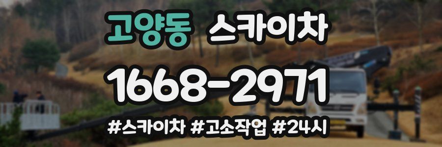 고양동 스카이차