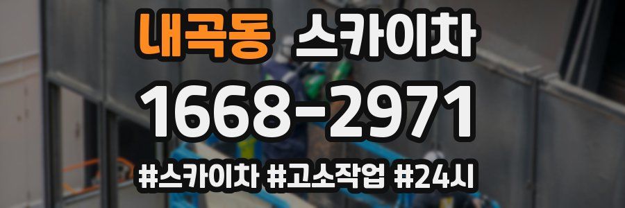 내곡동 스카이차