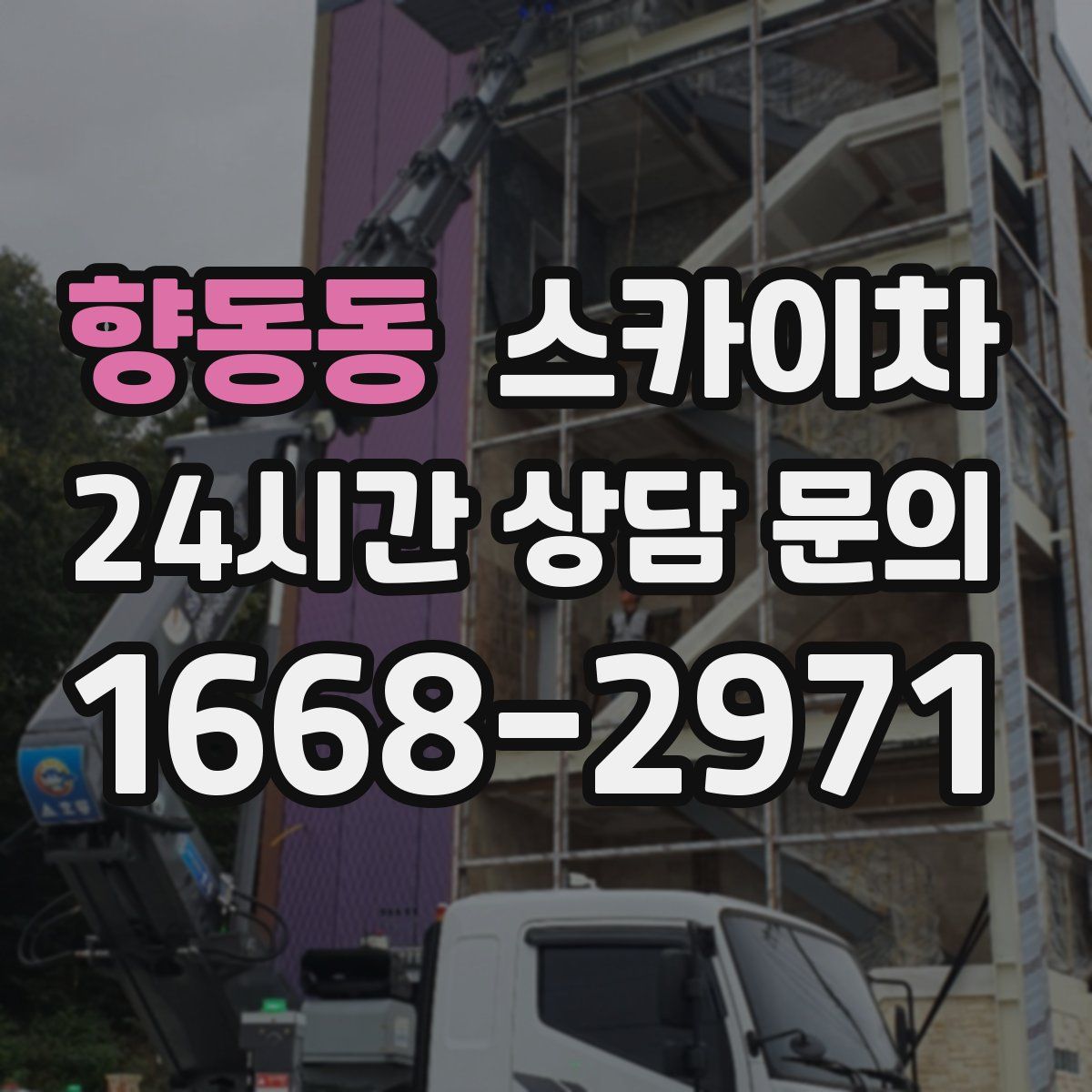 향동동 스카이차