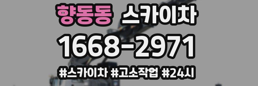 향동동 스카이차