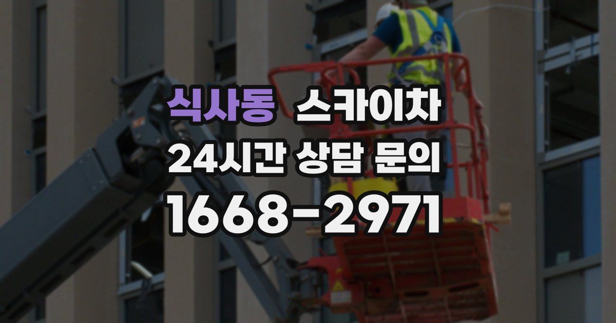 식사동 스카이차