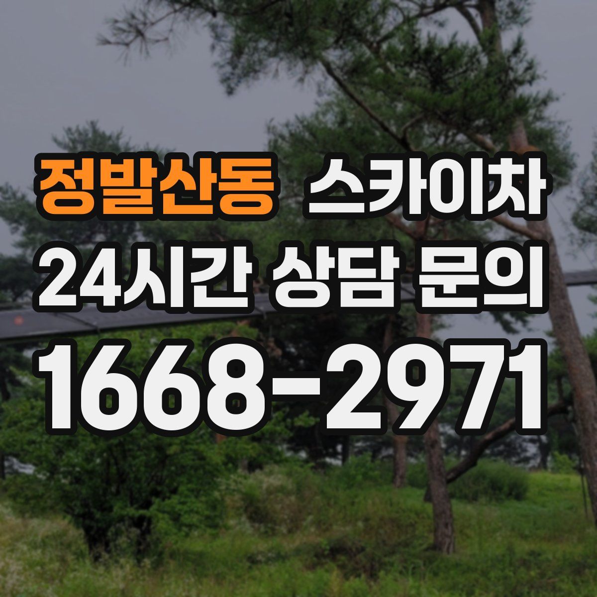 정발산동 스카이차