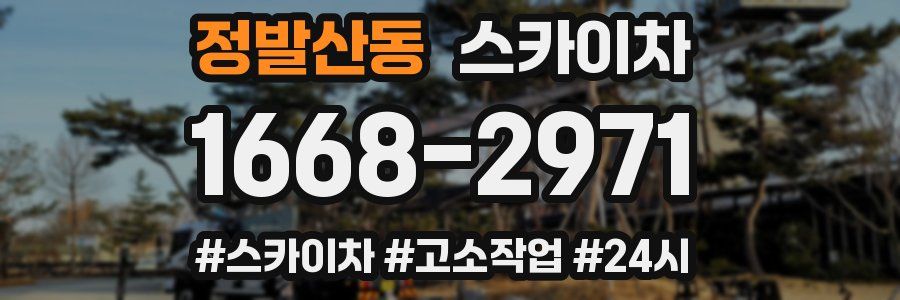 정발산동 스카이차
