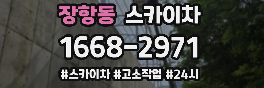 장항동 스카이차