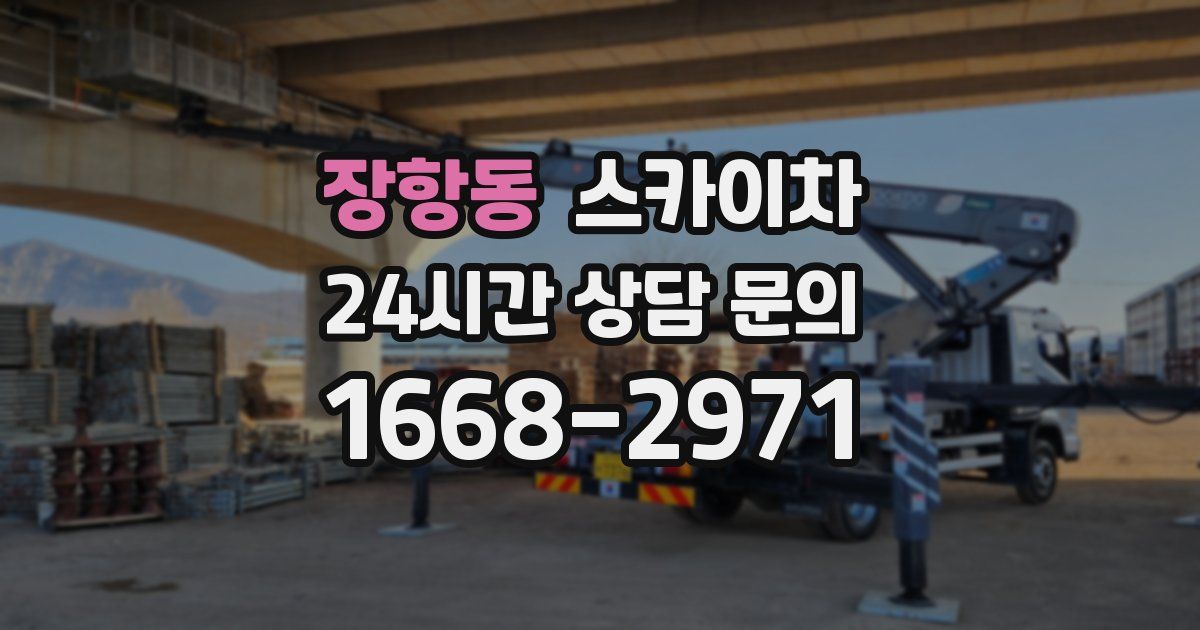 장항동 스카이차