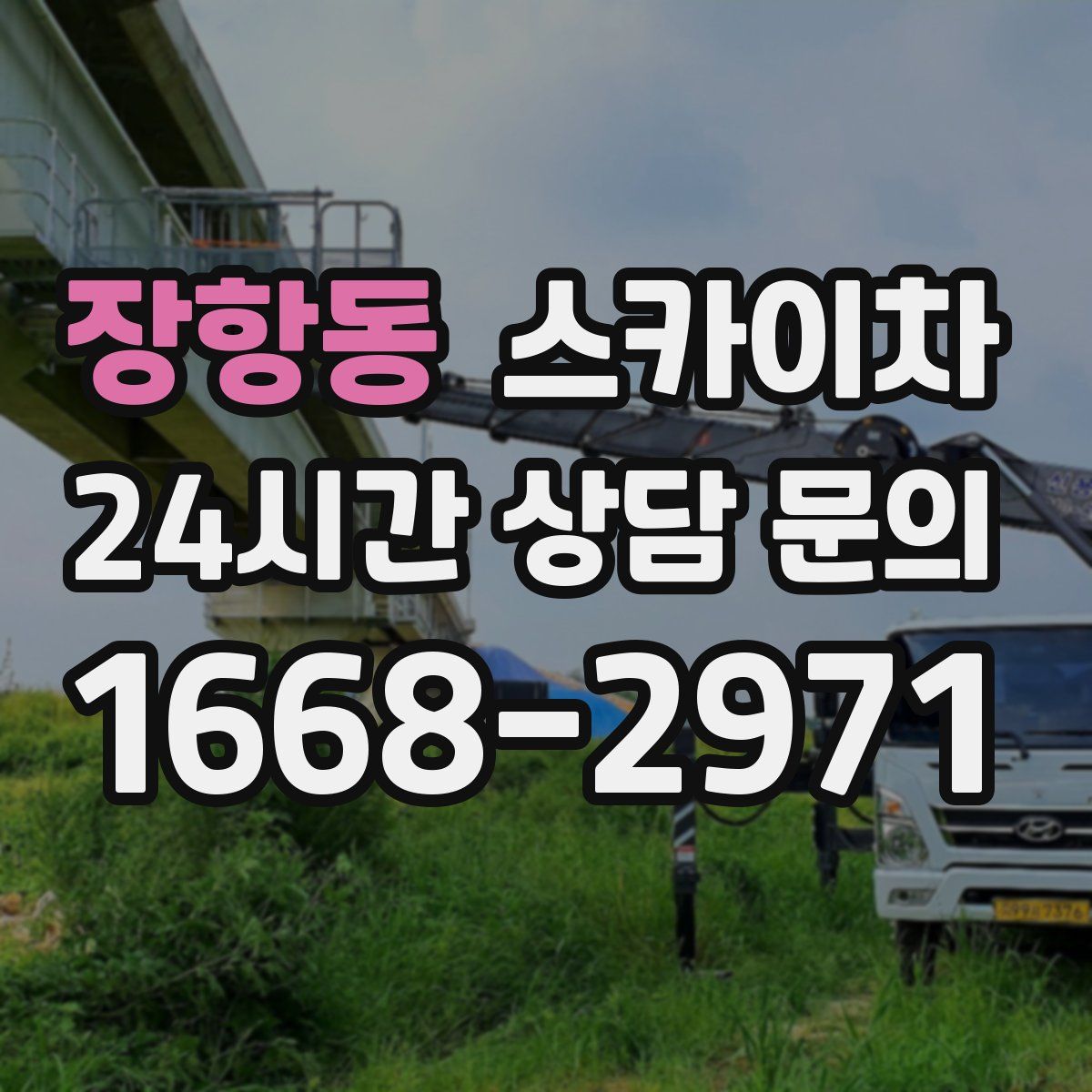 장항동 스카이차