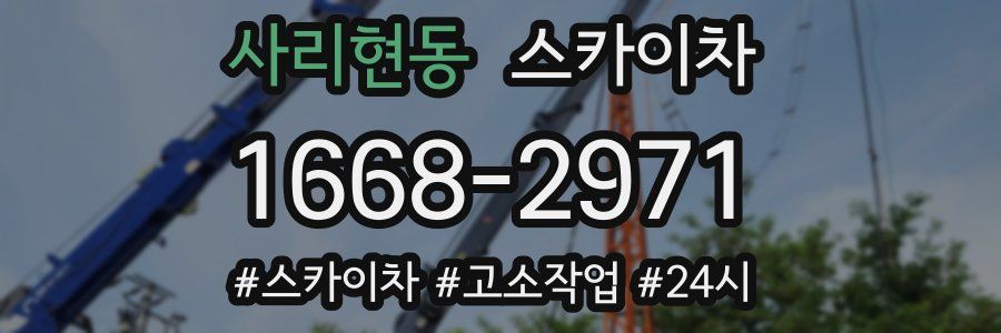사리현동 스카이차