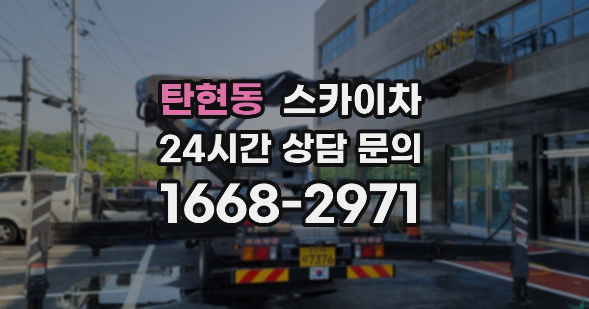 탄현동 스카이차
