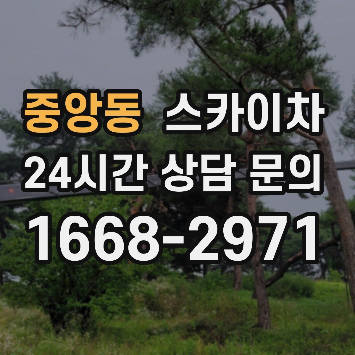 중앙동 스카이차