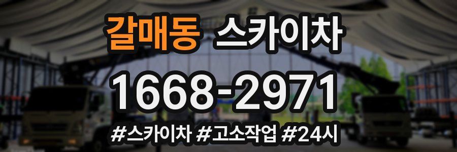 갈매동 스카이차