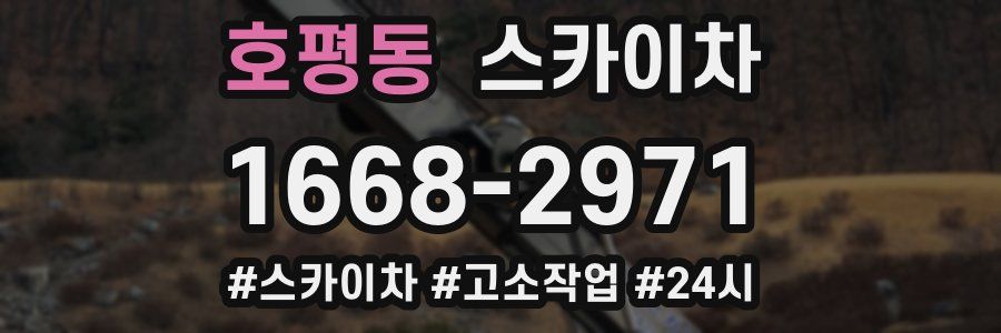 호평동 스카이차