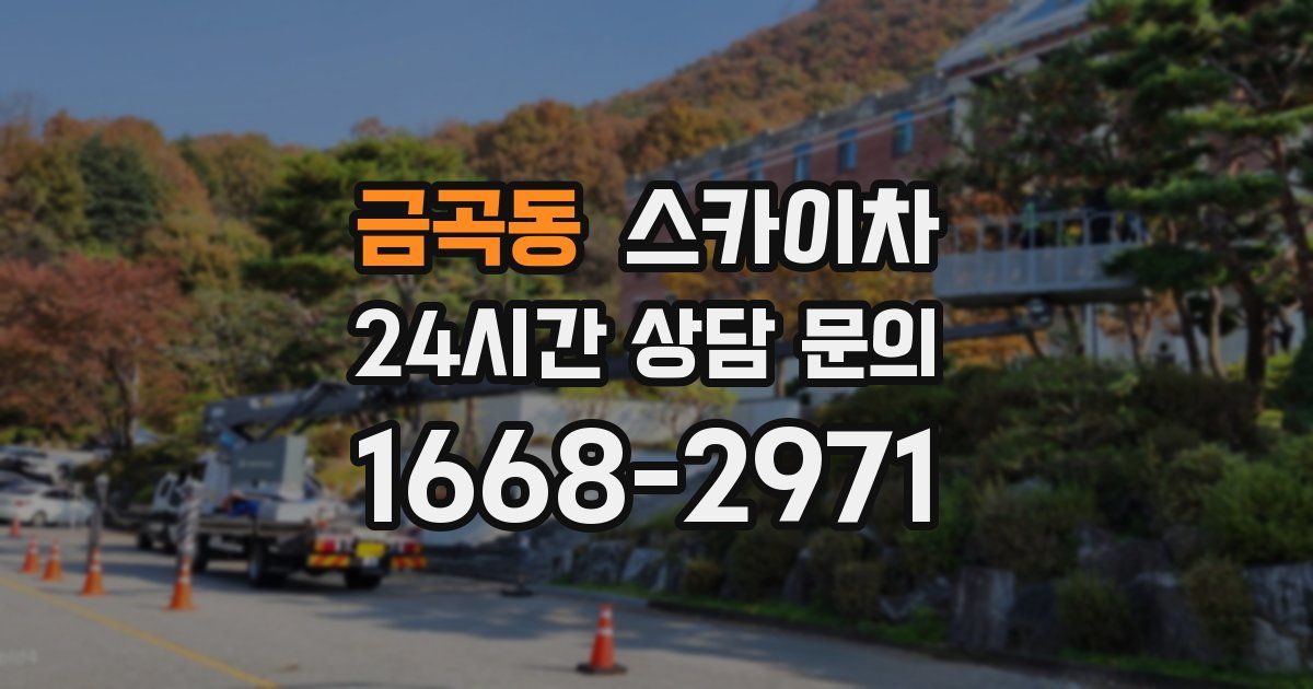 금곡동 스카이차