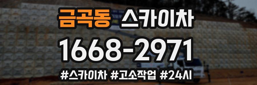금곡동 스카이차