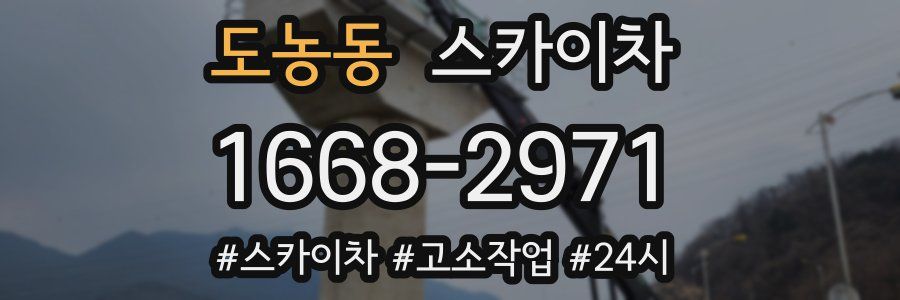 도농동 스카이차