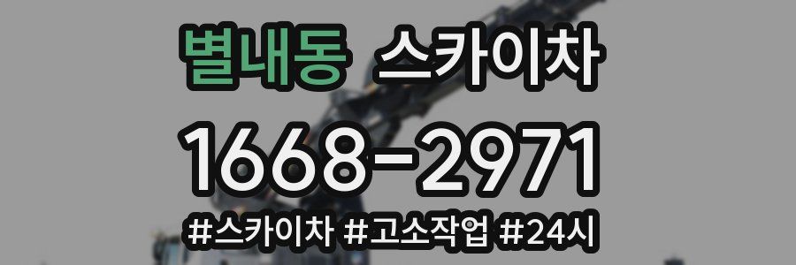 별내동 스카이차