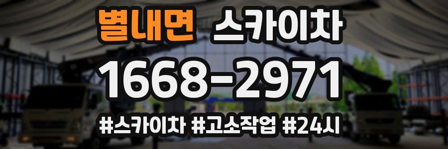 별내면 스카이차