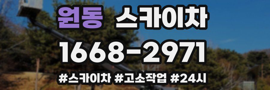 원동 스카이차