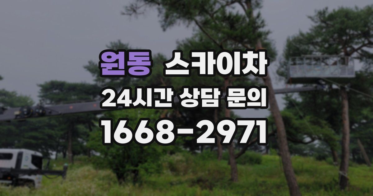 원동 스카이차