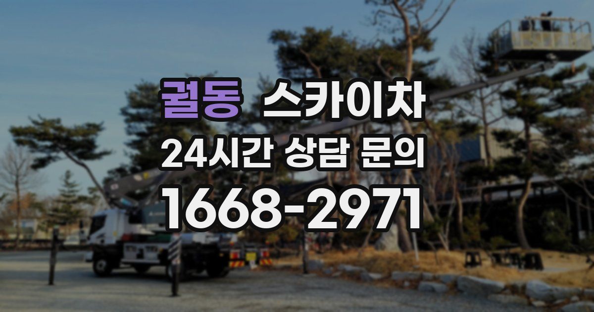 궐동 스카이차