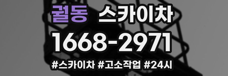 궐동 스카이차