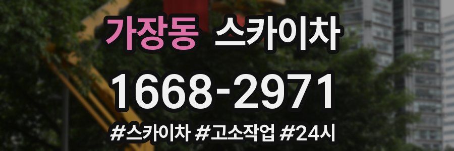 가장동 스카이차
