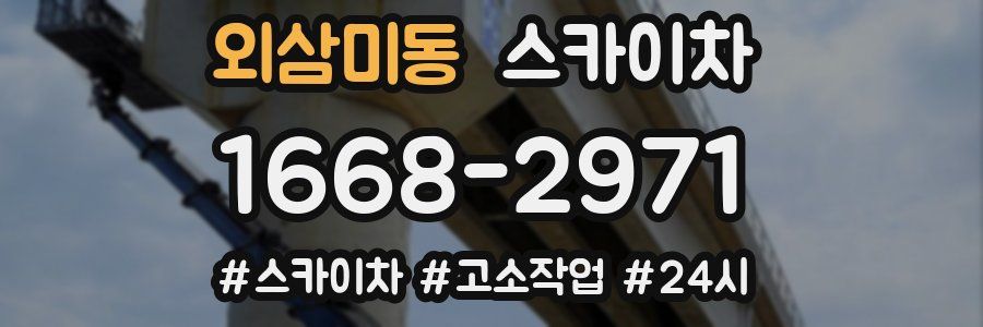 외삼미동 스카이차