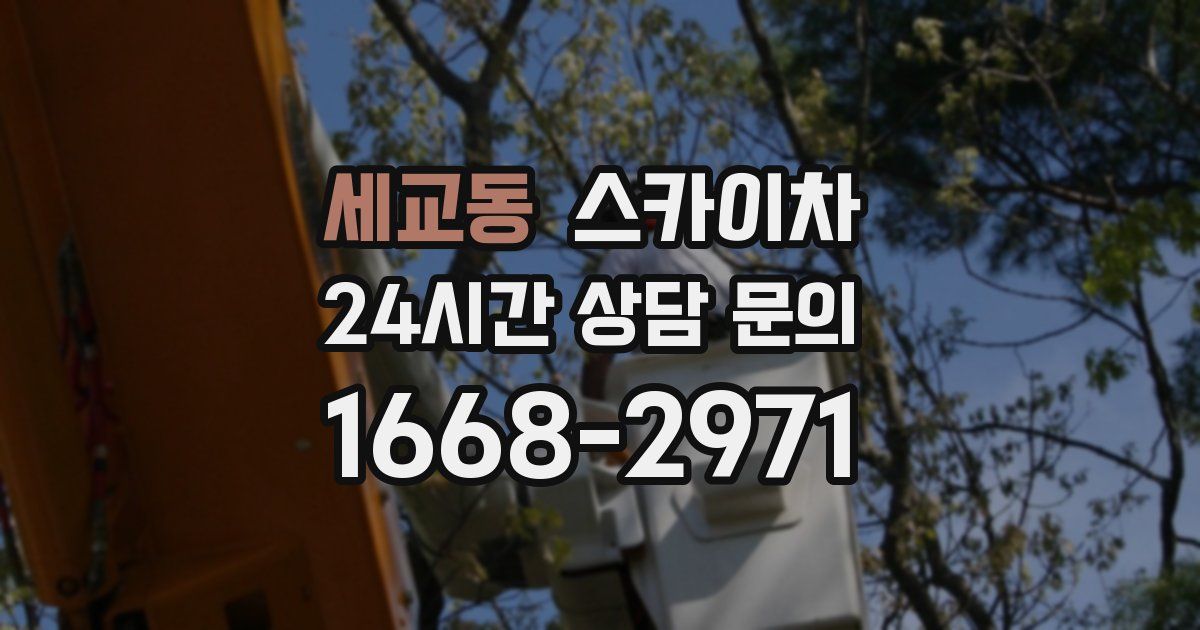 세교동 스카이차