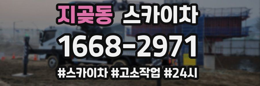 지곶동 스카이차