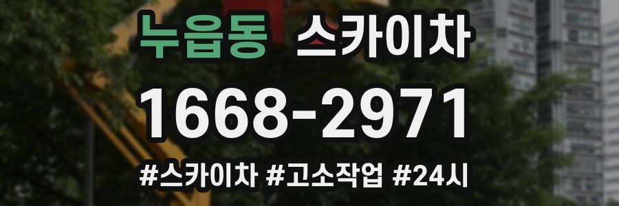 누읍동 스카이차