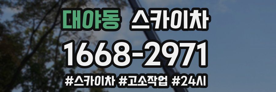 대야동 스카이차