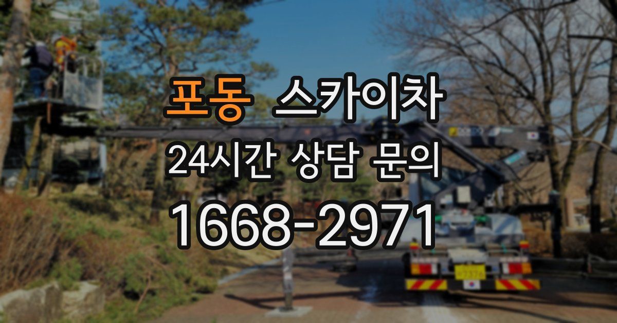 포동 스카이차