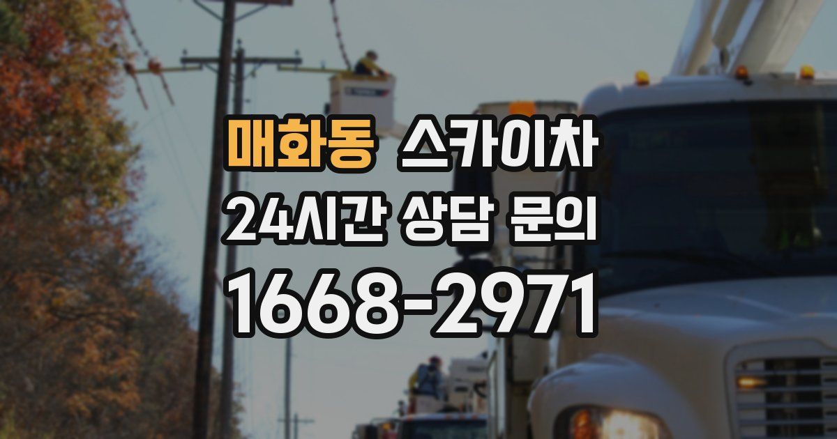 매화동 스카이차