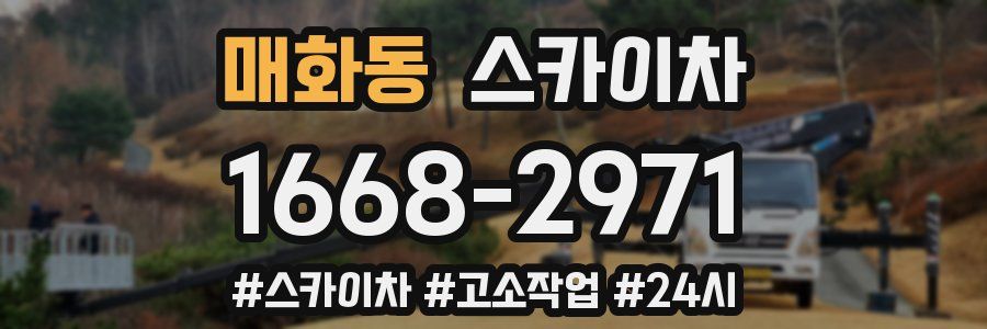 매화동 스카이차