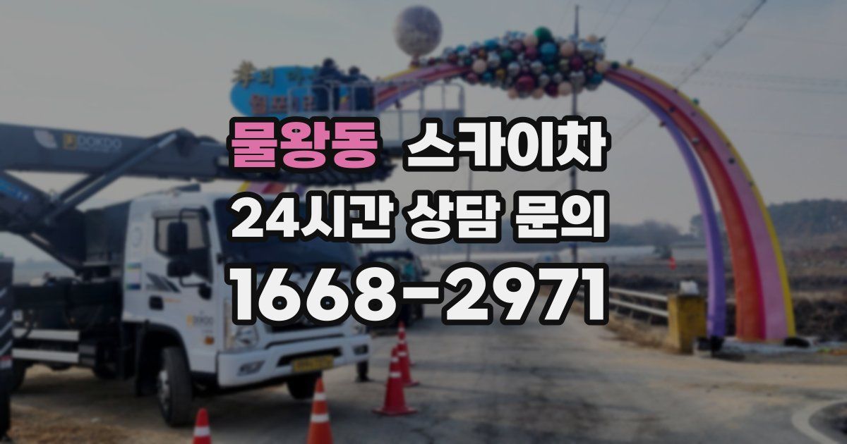 물왕동 스카이차