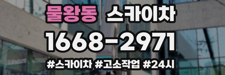 물왕동 스카이차