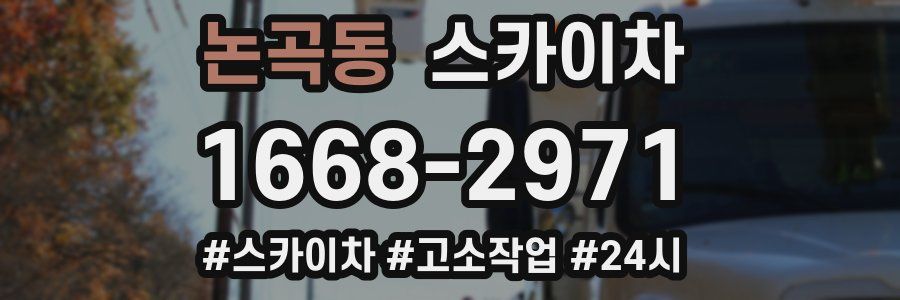 논곡동 스카이차