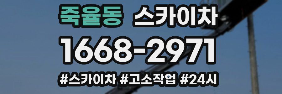 죽율동 스카이차