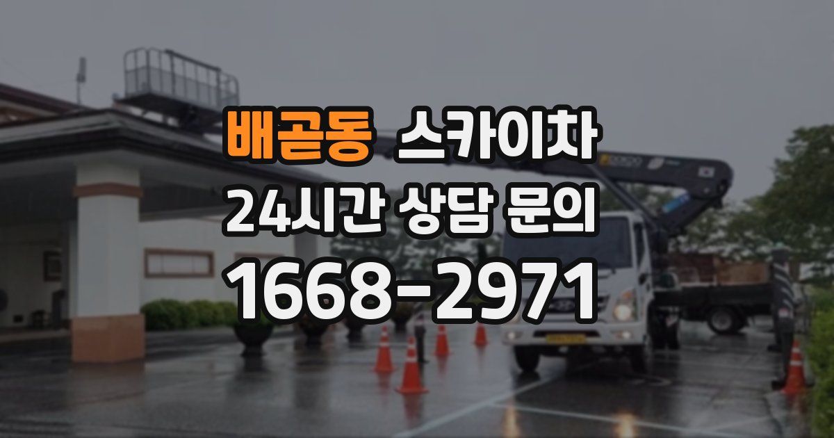 배곧동 스카이차