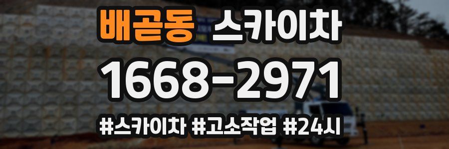 배곧동 스카이차