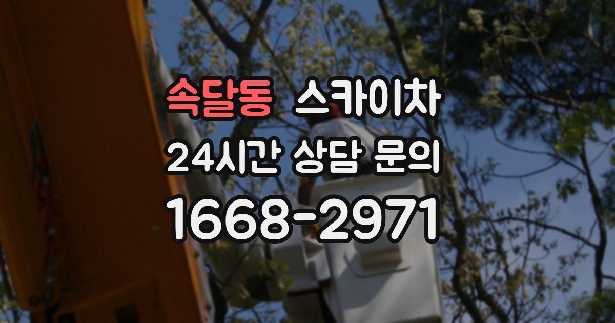 속달동 스카이차