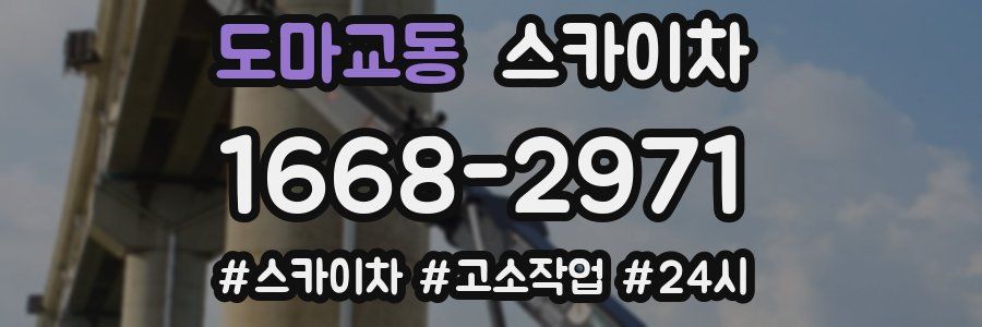도마교동 스카이차