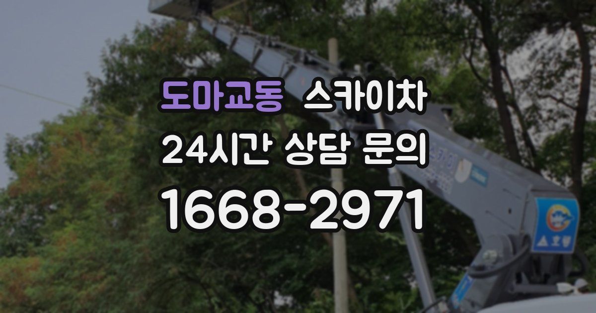도마교동 스카이차
