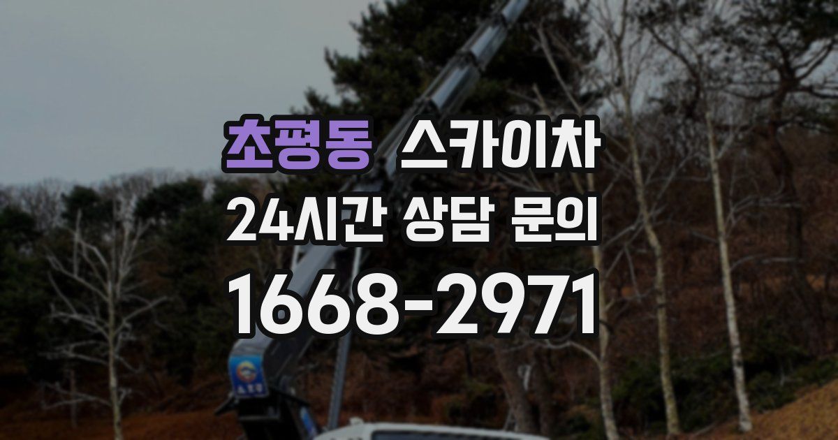 초평동 스카이차