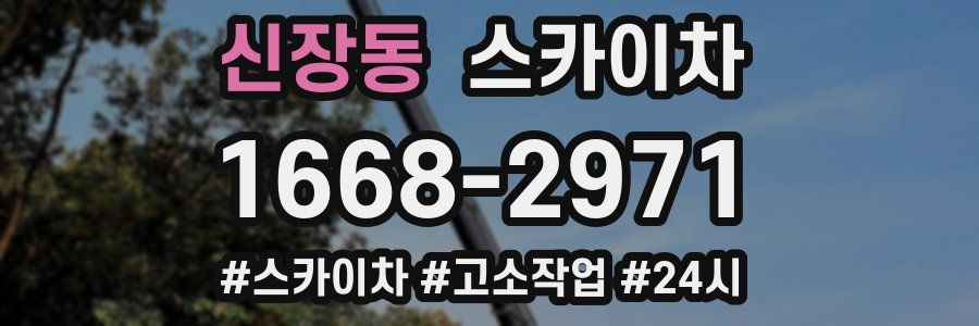 신장동 스카이차
